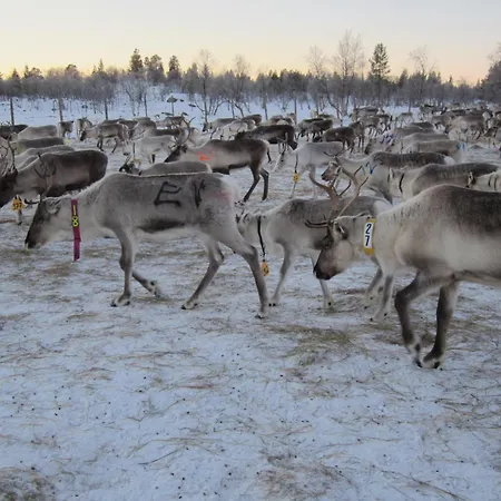 דירה Yksioe Jaervinaekymaellae *